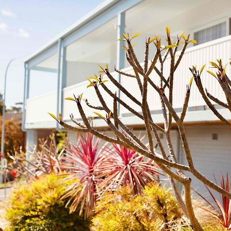 Mollymook Motel Bagian luar foto